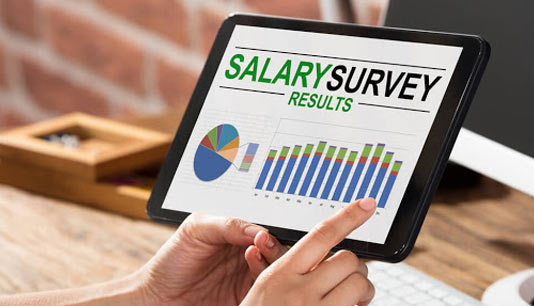 Pay Survey Insights